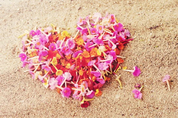 Heart Made Pink Petals Tropical Flowers Sand Close Top View — Stock Photo, Image