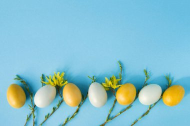 Söğüt dallarıyla süslenmiş sarı ve beyaz yumurtalar ve pastel mavi arka planda çiçekler, Paskalya dekoru. Düz yerde, üst tarafta. Metin için alanı kopyala.