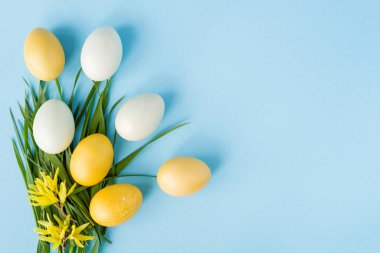 Sarı ve beyaz boyalı yumurtalar yeşil çimlerin üzerinde pastel mavi arka planda, Paskalya dekoru. Düz yerde, üst tarafta. Metin için alanı kopyala.