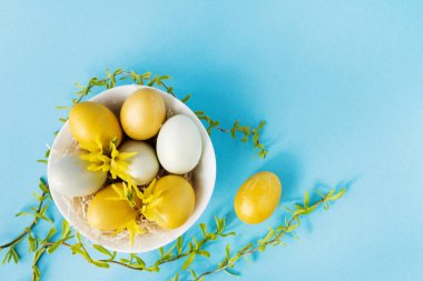 Sarı ve beyaz yumurtalar, söğüt dallarıyla süslenmiş ve pastel mavi arka planda çiçekler, Paskalya dekoru. Düz yerde, üst tarafta. Metin için alanı kopyala.
