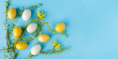 Söğüt dallarıyla süslenmiş sarı ve beyaz yumurtalar ve pastel mavi arka planda çiçekler, Paskalya dekoru. Düz yerde, üst tarafta. Metin ve afiş için alanı kopyala