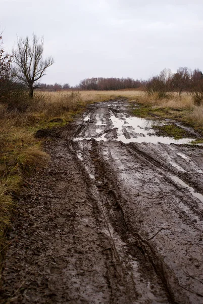 春雨后的草地路上 泥泞的水坑上有车辙 — 图库照片