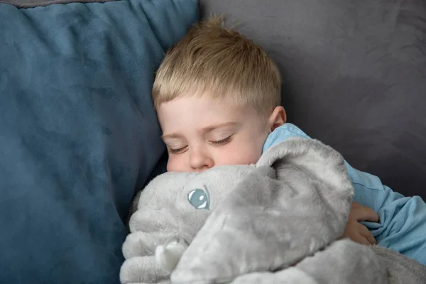 Lindo Niño Rubio Duerme Sofá Con Juguete Suave Está Tranquilo — Foto de Stock