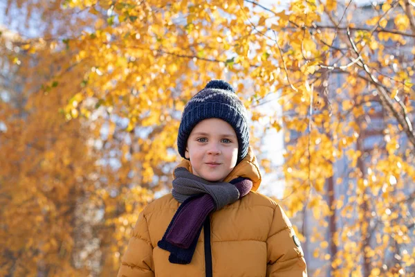 Portrait Cute Little Boy Background Yellow Autumn Leaves Happy Autumn — Stock Photo, Image