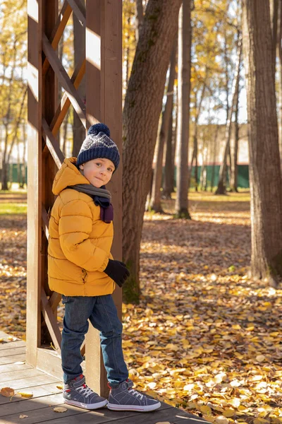 Little Boy Yellow Jacket Walks Autumn Park Autumn Colors Concept — Stock Photo, Image