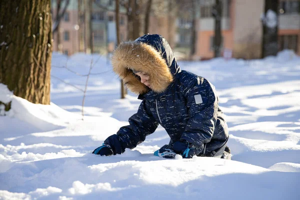 Little Boy Hat Hood Fur Plays Snow Having Fun Winter — Stock Photo, Image