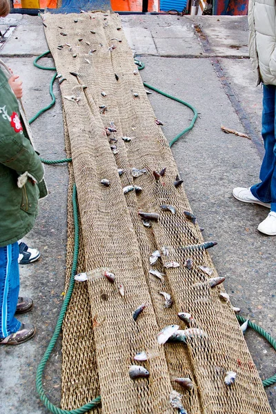 Reti Pesca Bianche Con Sacco Pesce Foto Alta Qualità — Foto Stock