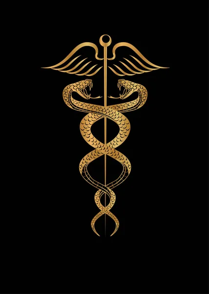 Beautiful Illustration Theme Medicine Two Snakes — Stock Vector