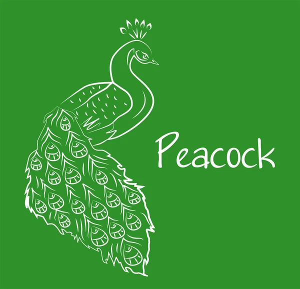 Illustration Style Line Art Theme Animalism Peacock — 图库矢量图片