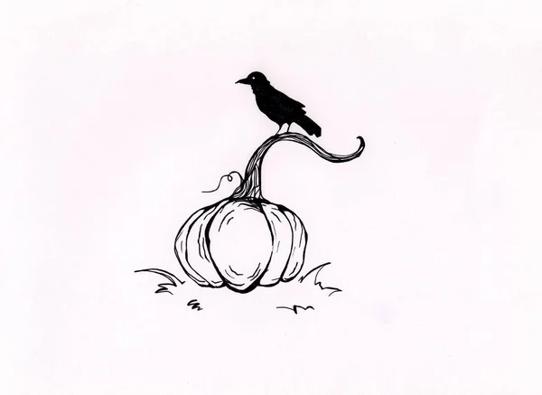 Чернила Черно Белый Рисунок Тыквы Ворона Осенний Хэллоуин Фоновая Концепция — стоковое фото