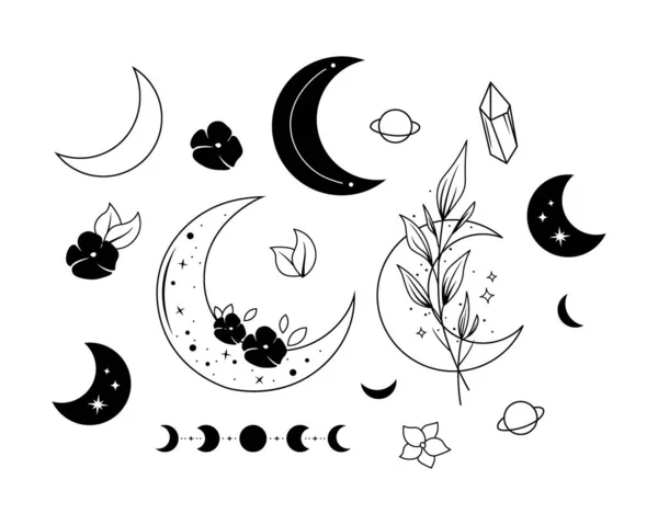 Colección Blanco Negro Con Luna Creciente Flores Fases Lunares Plantas — Archivo Imágenes Vectoriales