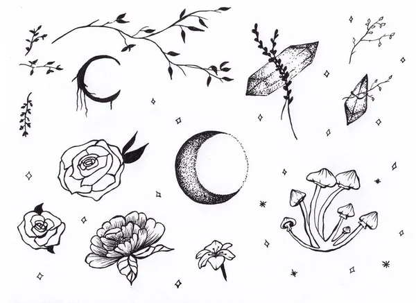 Černobílé Boho Půlměsícem Houbami Květinami Krystaly Větvemi Mystické Prvky Ilustrace — Stock fotografie