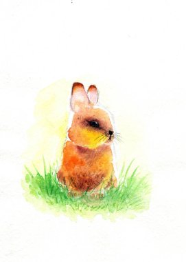 Kartpostal suluboya resimli pofuduk tavşan