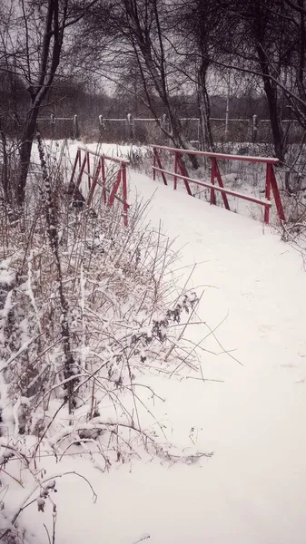 Zima Jasná Krajina Příroda Most — Stock fotografie