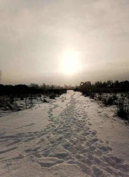 Ett Vidsträckt Fält Med Snö Vintern — Stockfoto