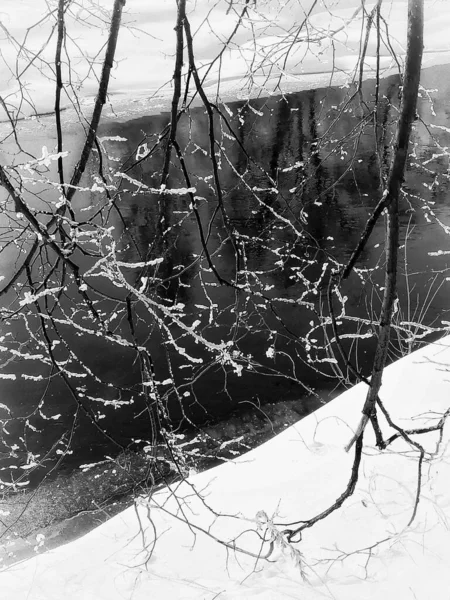 Φύση Τοπίου Των Κλαδιών Δέντρων — Φωτογραφία Αρχείου