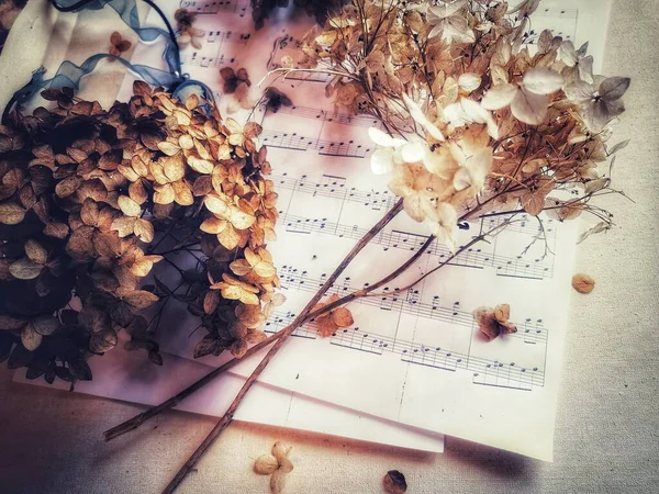 Dried Flowers Vintage Notes — Stock Photo, Image