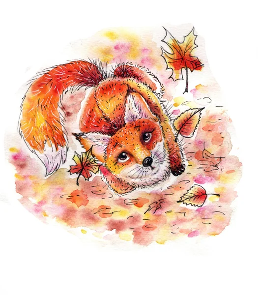 Akvarel Ilustrace Design Podzimní Liška — Stock fotografie