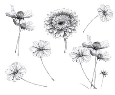 Bir demet izole çiçek etiketi