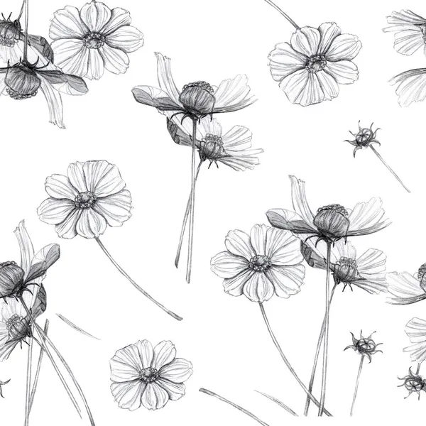 Безшовний Візерунок Квітів Графіка — стокове фото