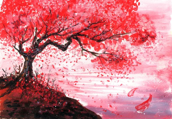 Painting Illustration Sakura Flower — Stock Photo, Image