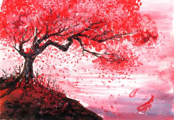 桜の絵のイラスト ロイヤリティフリーのストック写真