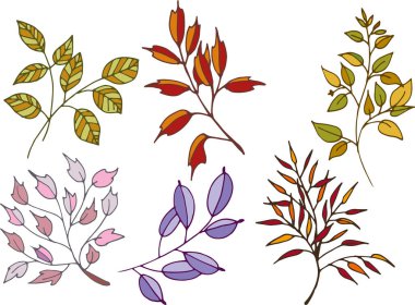 Renkli vektör yaprakları kümesi