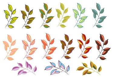 Renkli vektör yaprakları kümesi