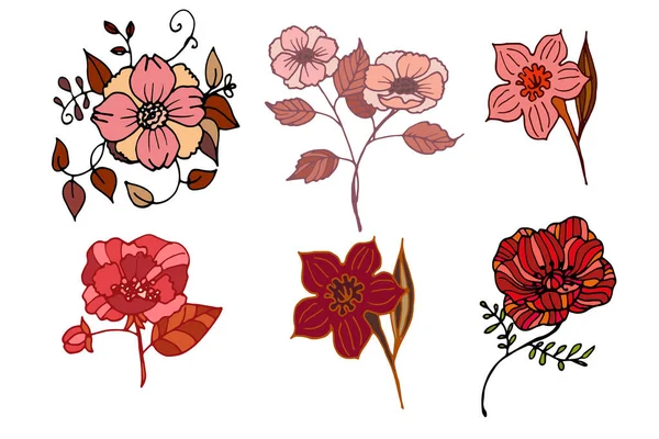 Zestaw Kolorowych Kwiatów Wektorowych — Zdjęcie stockowe