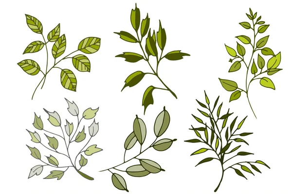 Renkli vektör yaprakları kümesi