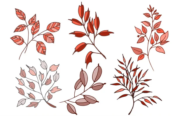 Renkli vektör yaprakları kümesi