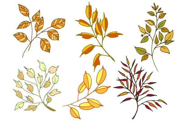 Renkli vektör yaprakları kümesi