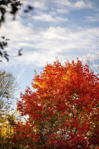 Moln Och Höst Färg Afton State Park — Stockfoto