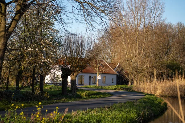 Sunset Rural Farm Road Netherlands — Stock Photo, Image