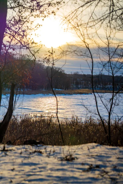 Frozen Midwestern Lake Sunset Trees — ストック写真