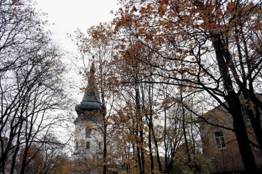 Vyborg, Leningrad Bölgesi, Rusya, Eylül 2021 sonu