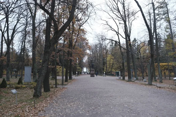 Herfst Het Lower Park Peterhof Petersburg Rusland — Stockfoto