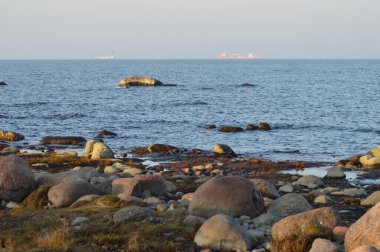 Finlandiya Körfezi 'nin güney kıyısı, Lomonosovsky bölgesi, Leningrad Bölgesi, Rusya