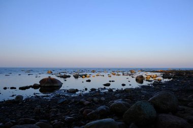 Finlandiya Körfezi 'nin güney kıyısı, Lomonosovsky bölgesi, Leningrad Bölgesi, Rusya