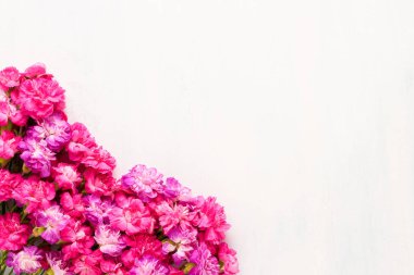 Pink carnation flowers bouquet on a light background. Top view, copy space