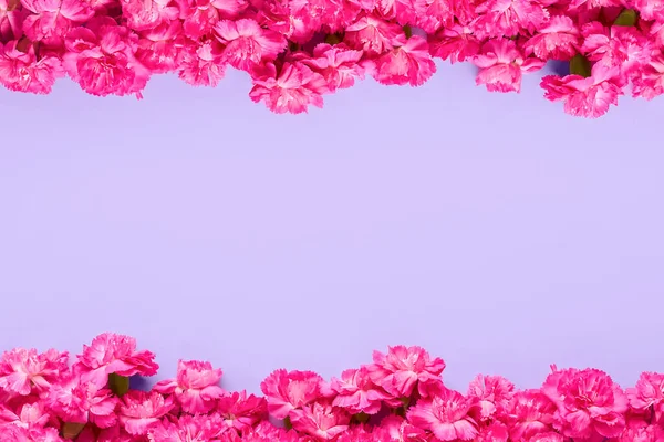 Pink carnation flowers frame on a lilac very peri background. Top view, copy space — Foto de Stock
