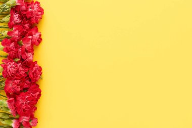 Red carnation flowers border on a bright yellow background. Flat lay, copy space.