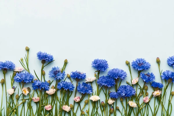 Blaue Kornblumen und Gänseblümchen auf hellblauem Hintergrund. Sommerkonzept. Ansicht von oben, Kopierraum — Stockfoto