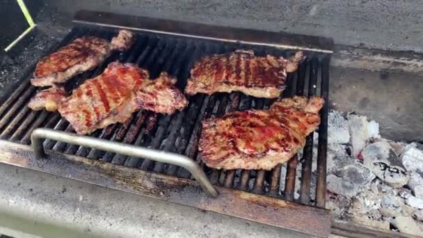 Pique-nique, steak de viande rôti dans le feu de charbon de bois brûlé sur grille de barbecue. Steak juteux avec grillades rayées. Barbecue grill — Video