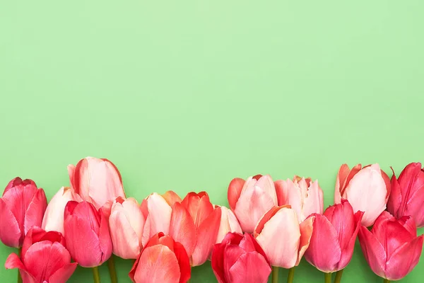 Rózsaszín és piros tulipán csokor zöld alapon. Anyák napja, Valentin-nap, születésnapi koncepció — Stock Fotó