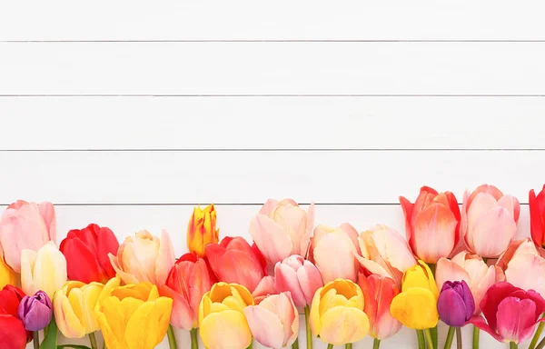 Fronteira de tulipas coloridas brilhantes em um fundo de madeira branco. Cartão de felicitações. Espaço de cópia, flat lay — Fotografia de Stock