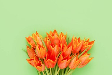 Yeşil arka planda parlak turuncu laleler. Anneler Günü, Sevgililer Günü, Doğum günü konsepti