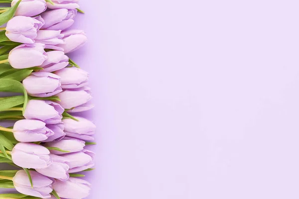 Strauß fliederfarbener Tulpen auf fliederfarbenem Hintergrund. Muttertag, Valentinstag, Geburtstagskonzept — Stockfoto