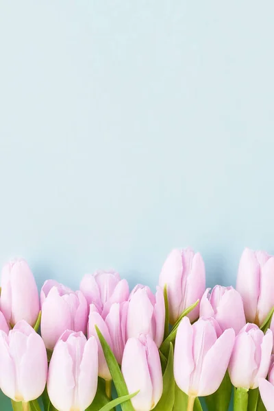 Rózsaszín tulipán határ egy világoskék háttér. Felülnézet, másolás, függőlegesen. Lágy fókusz — Stock Fotó