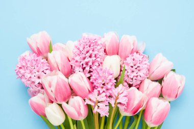 Mavi arka planda pembe sümbüller ve laleler. Anneler Günü, Sevgililer Günü, doğum günü konsepti